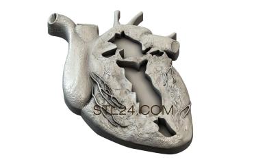 Панно (Сердце в разрезе, PD_0355) 3D модель для ЧПУ станка